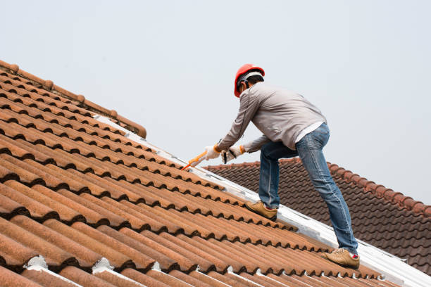 Best Roof Inspection  in Worth, IL